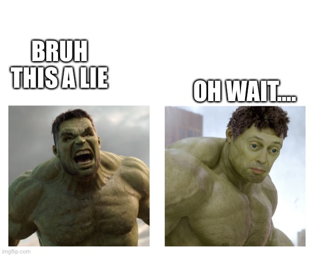 Hulk angry then realizes he's wrong | BRUH THIS A LIE OH WAIT…. | image tagged in hulk angry then realizes he's wrong | made w/ Imgflip meme maker