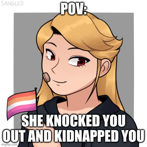 no ERP, and you may injure but not kill her. enjoy! | POV:; SHE KNOCKED YOU OUT AND KIDNAPPED YOU | made w/ Imgflip meme maker