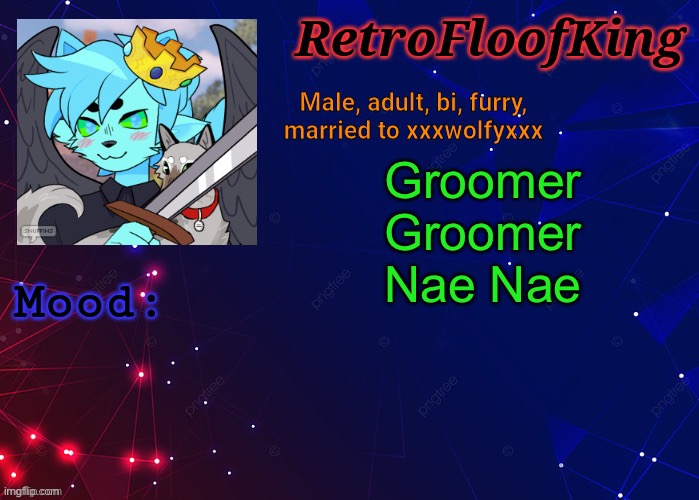 RetroFloofKing Official Announcement Template | Groomer Groomer Nae Nae | image tagged in retrofloofking official announcement template | made w/ Imgflip meme maker