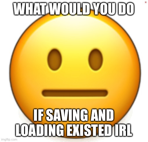 Dang bro.. | WHAT WOULD YOU DO; IF SAVING AND LOADING EXISTED IRL | image tagged in dang bro | made w/ Imgflip meme maker