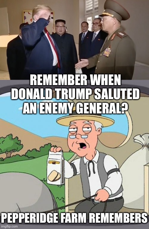 REMEMBER WHEN DONALD TRUMP SALUTED AN ENEMY GENERAL? PEPPERIDGE FARM REMEMBERS | image tagged in memes,pepperidge farm remembers,donald trump is an idiot | made w/ Imgflip meme maker