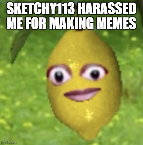 Cursed lemon | SKETCHY113 HARASSED ME FOR MAKING MEMES | image tagged in cursed lemon | made w/ Imgflip meme maker