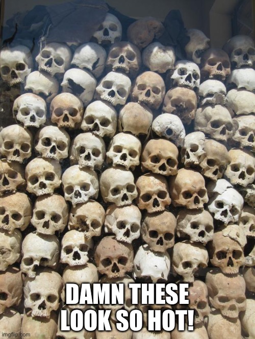 skulls | DAMN THESE LOOK SO HOT! | image tagged in skulls | made w/ Imgflip meme maker
