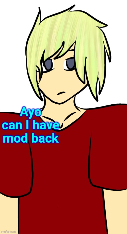 Blonde mf | Ayo can I have mod back | image tagged in blonde mf | made w/ Imgflip meme maker