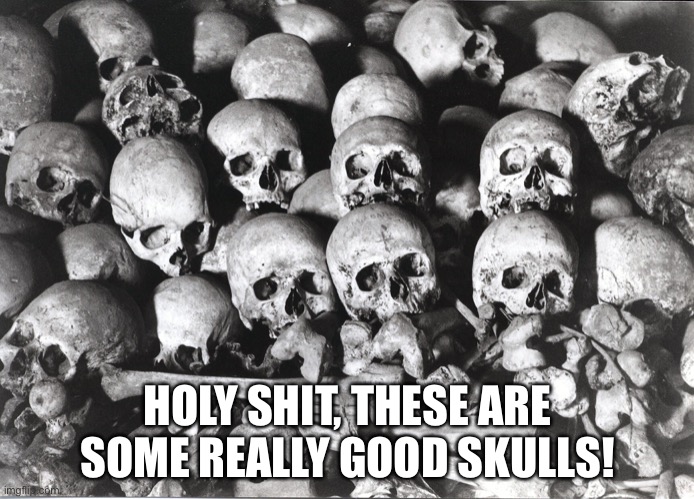 Skulls | HOLY SHIT, THESE ARE SOME REALLY GOOD SKULLS! | image tagged in skulls | made w/ Imgflip meme maker