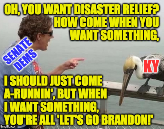 Damned Repelicans. | image tagged in memes,kentucky republicans,disaster bird,woman yelling at seagull,but really it's a pelican | made w/ Imgflip meme maker