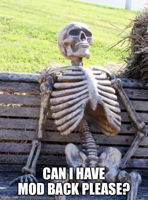 Waiting Skeleton | CAN I HAVE MOD BACK PLEASE? | image tagged in memes,waiting skeleton | made w/ Imgflip meme maker