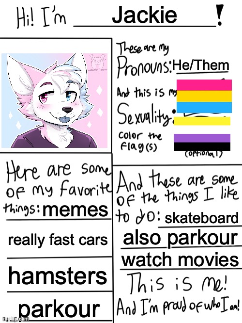 I am proud to be me! | Jackie; He/Them; memes; skateboard; really fast cars; also parkour; watch movies; hamsters; parkour | image tagged in lgbtq stream account profile | made w/ Imgflip meme maker