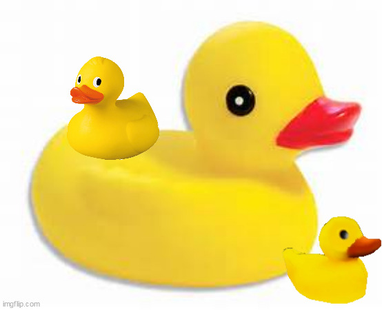rubber ducky | image tagged in rubber ducky | made w/ Imgflip meme maker