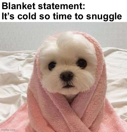 Blanket statement:
It’s cold so time to snuggle | made w/ Imgflip meme maker