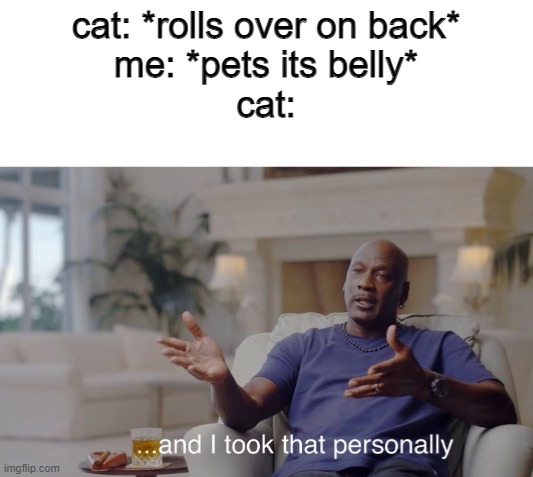 cat memes rule the planet | cat: *rolls over on back*
me: *pets its belly*
cat: | image tagged in and i took that personally | made w/ Imgflip meme maker