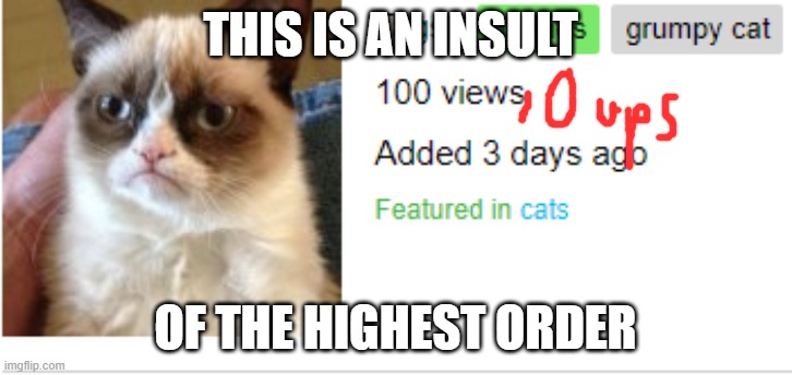 I Am Insulted | THIS IS AN INSULT; OF THE HIGHEST ORDER | image tagged in memed,grumpy cat,insult,no upvotes | made w/ Imgflip meme maker