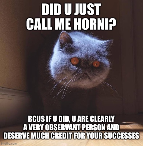 Why do I become hornier as the day goes on | DID U JUST CALL ME HORNI? BCUS IF U DID, U ARE CLEARLY A VERY OBSERVANT PERSON AND DESERVE MUCH CREDIT FOR YOUR SUCCESSES | image tagged in floating cat head | made w/ Imgflip meme maker