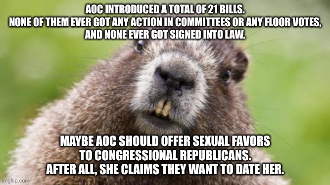 Here is an idea for AOC | AOC INTRODUCED A TOTAL OF 21 BILLS.
NONE OF THEM EVER GOT ANY ACTION IN COMMITTEES OR ANY FLOOR VOTES,
AND NONE EVER GOT SIGNED INTO LAW. MAYBE AOC SHOULD OFFER SEXUAL FAVORS
TO CONGRESSIONAL REPUBLICANS.
AFTER ALL, SHE CLAIMS THEY WANT TO DATE HER. | image tagged in mr beaver,memes,sexual,aoc,republicans,date | made w/ Imgflip meme maker