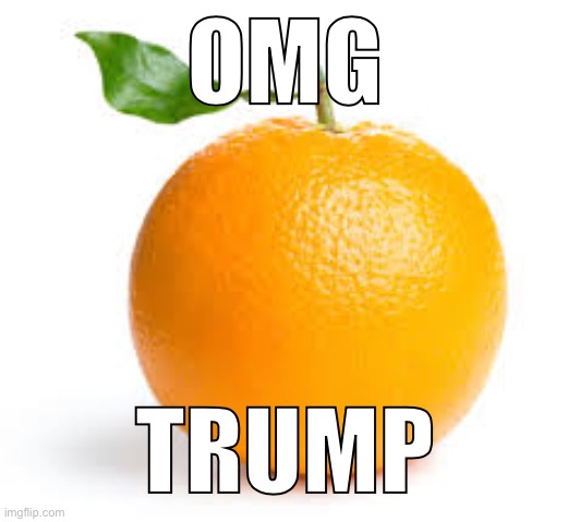 OMG; TRUMP | made w/ Imgflip meme maker