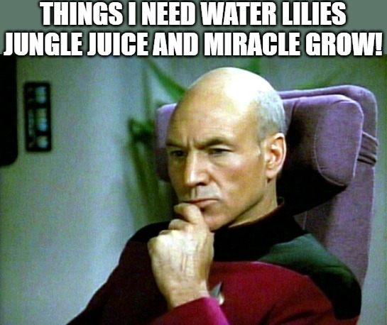 NEEDY | THINGS I NEED WATER LILIES JUNGLE JUICE AND MIRACLE GROW! | image tagged in thinking hard | made w/ Imgflip meme maker