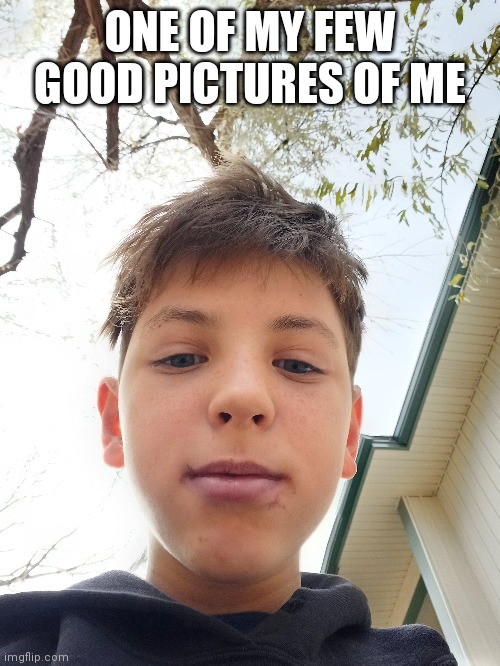 All my other pictures of me are crap | ONE OF MY FEW GOOD PICTURES OF ME | image tagged in face reveal | made w/ Imgflip meme maker