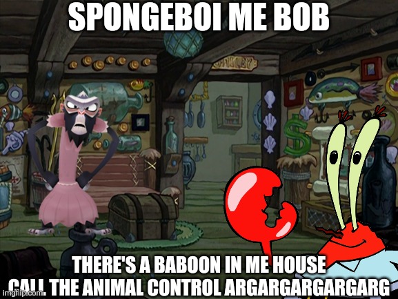Miss Simian in Mr Krabs house | SPONGEBOI ME BOB; THERE'S A BABOON IN ME HOUSE CALL THE ANIMAL CONTROL ARGARGARGARGARG | image tagged in mr krabs,spongebob,the amazing world of gumball,memes,monke,baboon | made w/ Imgflip meme maker