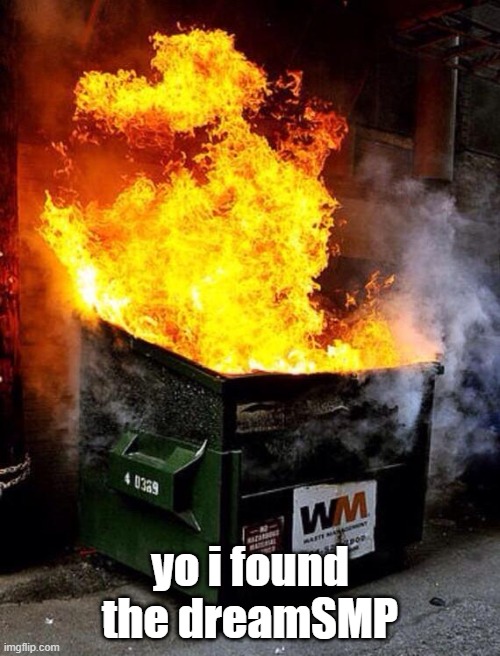 Dumpster Fire | yo i found the dreamSMP | image tagged in dumpster fire | made w/ Imgflip meme maker