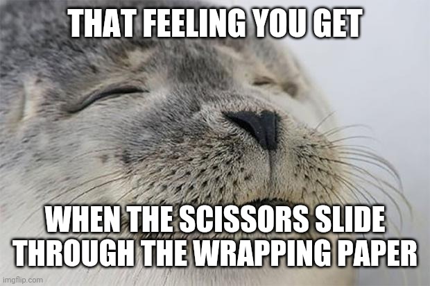 Satisfied Seal Meme | THAT FEELING YOU GET; WHEN THE SCISSORS SLIDE THROUGH THE WRAPPING PAPER | image tagged in memes,satisfied seal | made w/ Imgflip meme maker