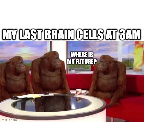 where monkey | MY LAST BRAIN CELLS AT 3AM; WHERE IS MY FUTURE? | image tagged in where monkey | made w/ Imgflip meme maker