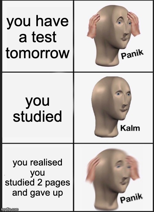 me tho | you have a test tomorrow; you studied; you realised you studied 2 pages and gave up | image tagged in memes,panik kalm panik | made w/ Imgflip meme maker