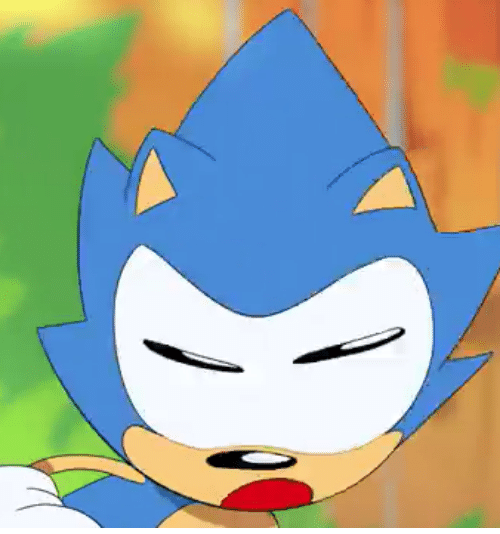 High Quality Sonic “What” Blank Meme Template