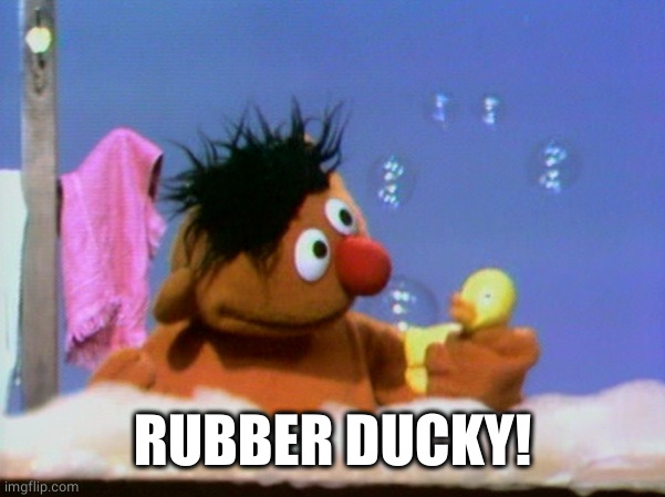 Ernie bathtub | RUBBER DUCKY! | image tagged in ernie bathtub | made w/ Imgflip meme maker