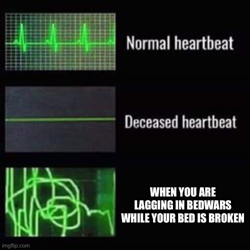 True | WHEN YOU ARE LAGGING IN BEDWARS WHILE YOUR BED IS BROKEN | image tagged in heartbeat rate,bed,wars,who reads these | made w/ Imgflip meme maker