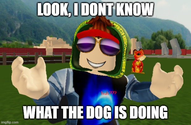 i dont know what the dog is doing guys | LOOK, I DONT KNOW; WHAT THE DOG IS DOING | image tagged in huh,what the dog doin,dog,meme,funny,last tag | made w/ Imgflip meme maker