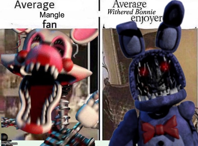 Average Mangle Fan VS. Average Withered Bonnie Enjoyer | image tagged in memes,average fan vs average enjoyer,fnaf,fnaf2 | made w/ Imgflip meme maker