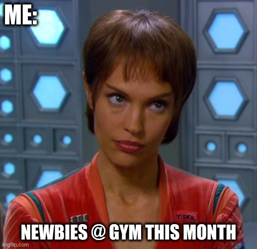 Resolutions |  ME:; NEWBIES @ GYM THIS MONTH | image tagged in new year resolutions | made w/ Imgflip meme maker
