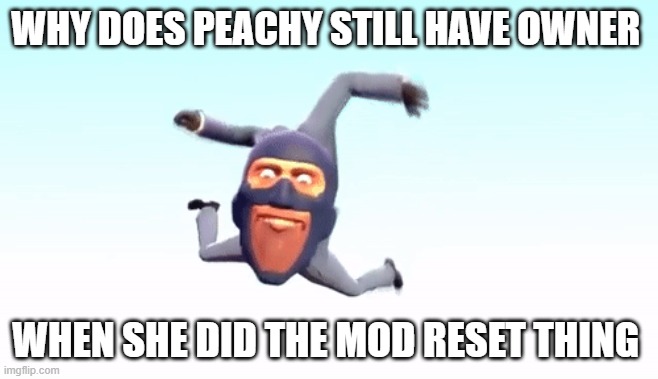 can we just remove her mod or something | WHY DOES PEACHY STILL HAVE OWNER; WHEN SHE DID THE MOD RESET THING | image tagged in the s p y | made w/ Imgflip meme maker