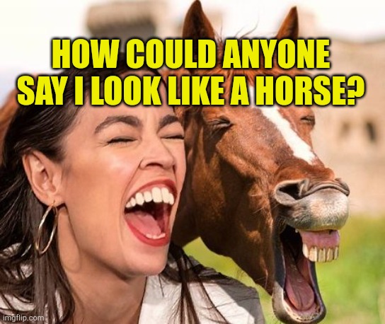 Ole Horse Face | HOW COULD ANYONE SAY I LOOK LIKE A HORSE? | image tagged in horse face aoc,stupid liberals,hipocrisy,ugly horse,corruption,dishonest politicians | made w/ Imgflip meme maker