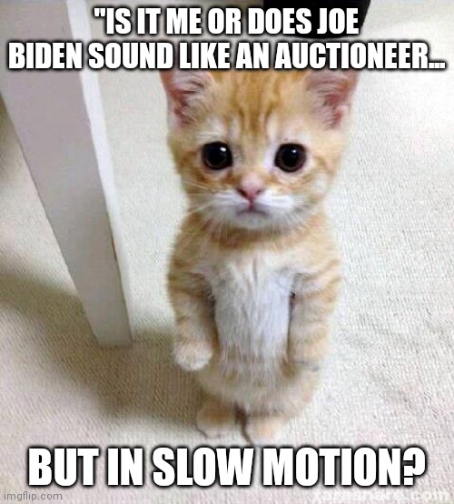 Cat meets auctioneer | "IS IT ME OR DOES JOE BIDEN SOUND LIKE AN AUCTIONEER... BUT IN SLOW MOTION? | image tagged in memes,cute cat,joe biden,slow motion,salesman | made w/ Imgflip meme maker