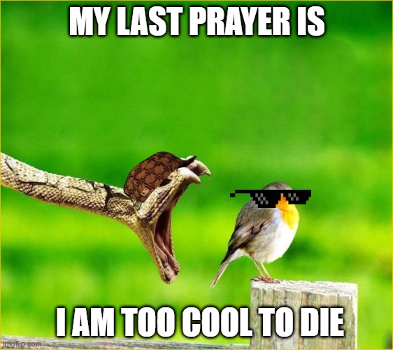 Snake Reality Bites | MY LAST PRAYER IS; I AM TOO COOL TO DIE | image tagged in snake reality bites | made w/ Imgflip meme maker