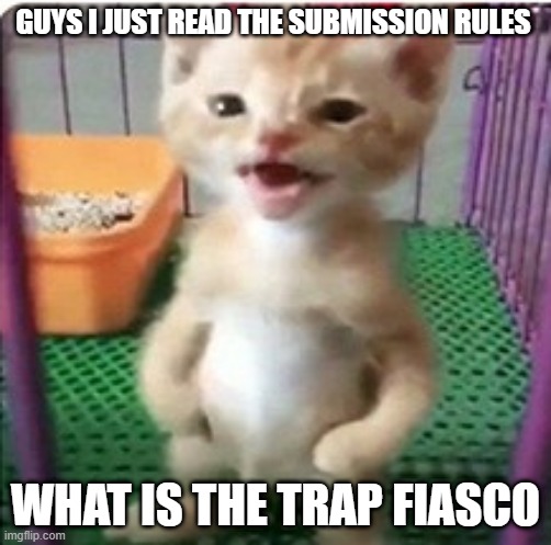 GUYS I JUST READ THE SUBMISSION RULES; WHAT IS THE TRAP FIASCO | made w/ Imgflip meme maker