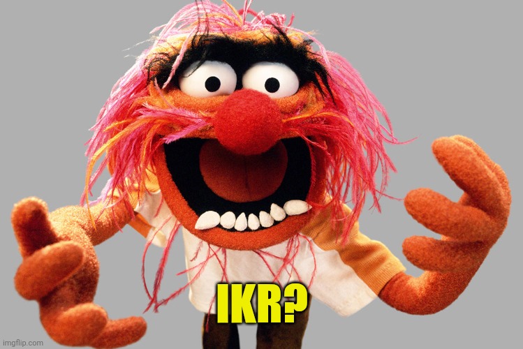 animal muppets | IKR? | image tagged in animal muppets | made w/ Imgflip meme maker