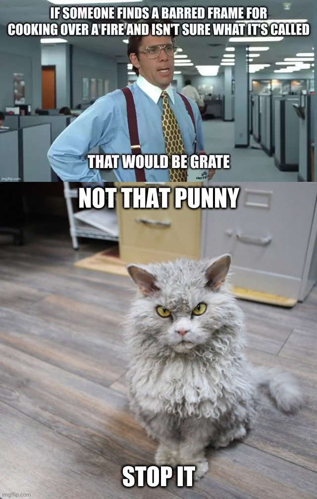 NOT THAT PUNNY; STOP IT | image tagged in bad joke cat | made w/ Imgflip meme maker