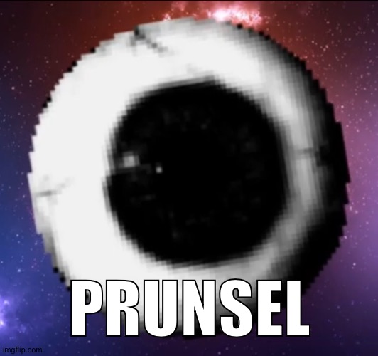 I'm pretty sure most y'all don't understand and think this is off topic lol (note: nvm everyone understands) | PRUNSEL | made w/ Imgflip meme maker