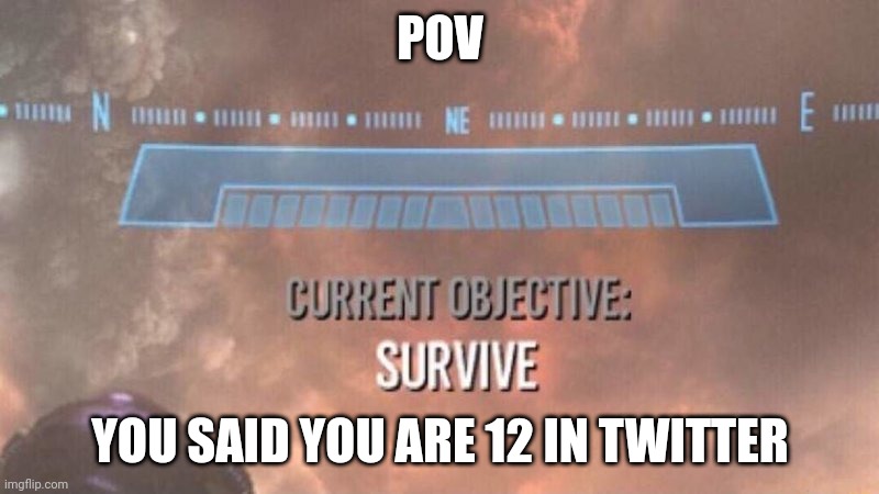 Current Objective: Survive | POV; YOU SAID YOU ARE 12 IN TWITTER | image tagged in current objective survive,twitter,12 years old | made w/ Imgflip meme maker