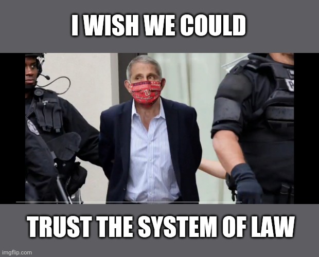 I WISH WE COULD TRUST THE SYSTEM OF LAW | made w/ Imgflip meme maker