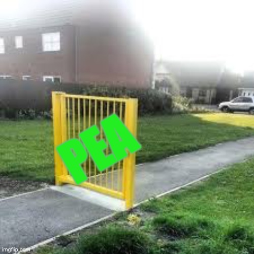 if you get it, you get it | PEA | image tagged in useless gate | made w/ Imgflip meme maker