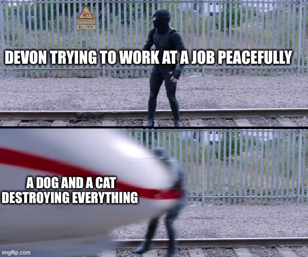 Fandom friends meme | image tagged in hit by train | made w/ Imgflip meme maker