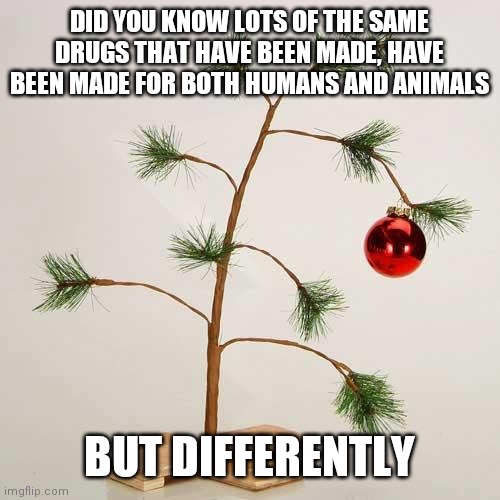 Science is real, if you can read | DID YOU KNOW LOTS OF THE SAME DRUGS THAT HAVE BEEN MADE, HAVE BEEN MADE FOR BOTH HUMANS AND ANIMALS; BUT DIFFERENTLY | image tagged in christmas tree,drugs are bad,liar liar,we are not the same | made w/ Imgflip meme maker