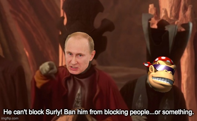 Funny how the Nonsense Party still call themselves "libertarian" after all this lol | He can't block Surly! Ban him from blocking people...or something. | made w/ Imgflip meme maker