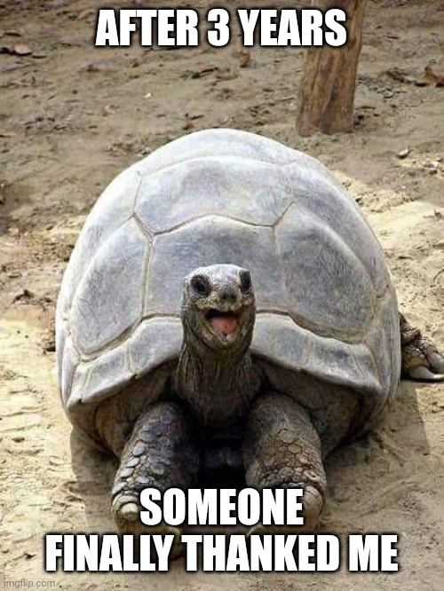 Happy turtle | AFTER 3 YEARS SOMEONE FINALLY THANKED ME | image tagged in happy turtle | made w/ Imgflip meme maker