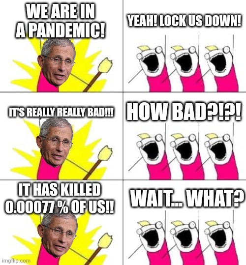 Remember - this virus is soooo bad, it has literally killed less than 1/20 of 1 percent of the population. | WE ARE IN A PANDEMIC! YEAH! LOCK US DOWN! HOW BAD?!?! IT'S REALLY REALLY BAD!!! IT HAS KILLED 0.00077 % OF US!! WAIT... WHAT? | image tagged in memes,what do we want 3,covid-19,so you have chosen death | made w/ Imgflip meme maker