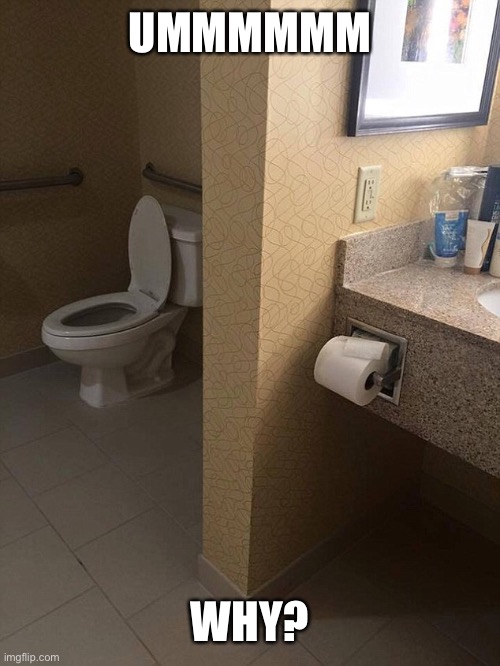 What do y'all think of this toilet? And who even owns it? | UMMMMMM; WHY? | image tagged in toilet,design fails | made w/ Imgflip meme maker
