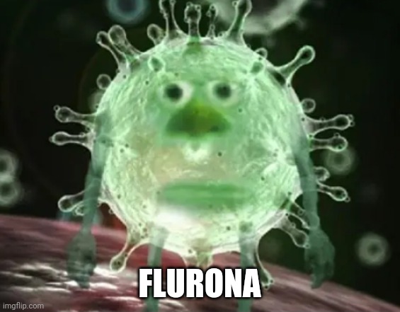 FLURONA | image tagged in funny memes | made w/ Imgflip meme maker